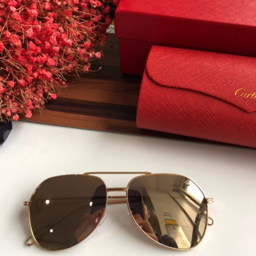 Ca*t*er-glasses-7
