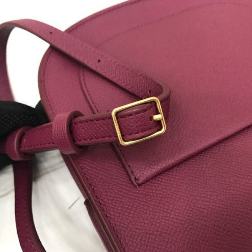 Ce**e-trotteur-bag-13
