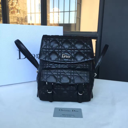 D*or-backpack