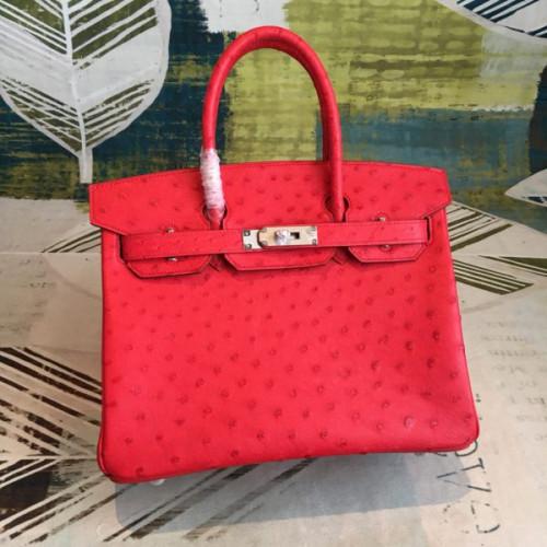 H**mes-birkin-50