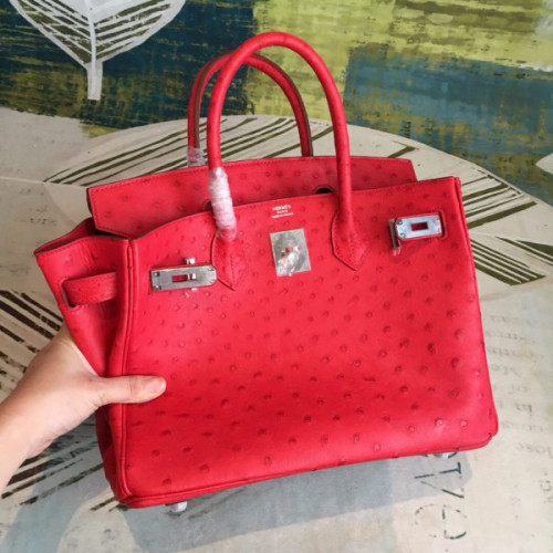 H**mes-birkin-50