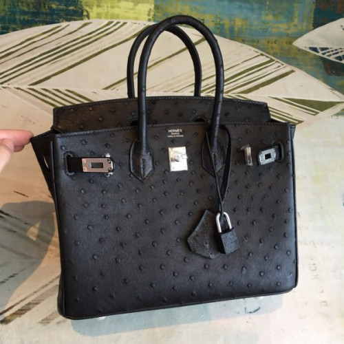 H**mes-birkin-53