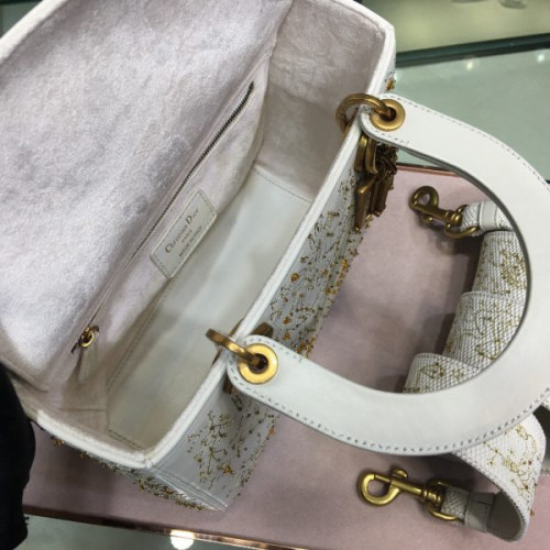 lady-D*or-fw18-5